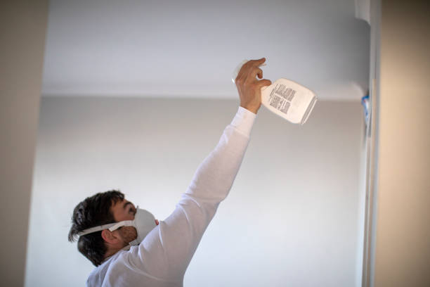 Best Office Mold Removal Services  in Meadowlakes, TX