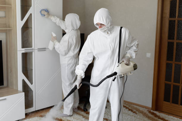 Best Residential Mold Removal  in Meadowlakes, TX