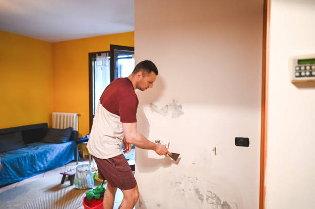 Best Mold Removal Near Me  in Meadowlakes, TX