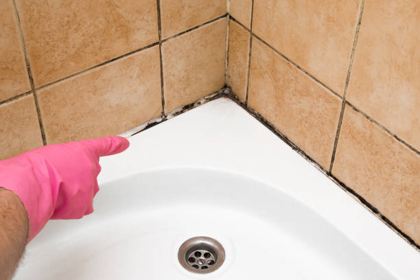 Best Certified Mold Removal  in Meadowlakes, TX